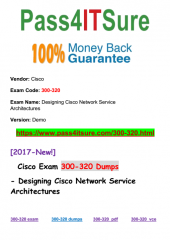 300-320 dumps